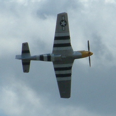 Striped plane