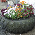Flowers in a tyre