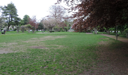 Across the park