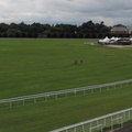 Racecourse