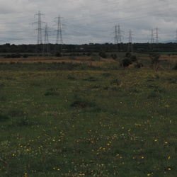 Gowy Meadow