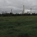 Industry over the meadow