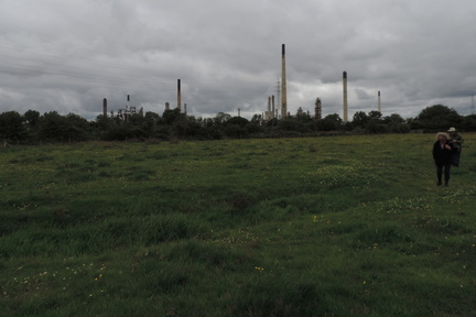 Industry over the meadow