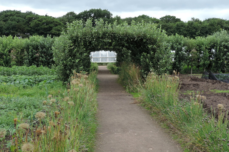 Trained hedges