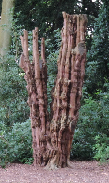 35-TreeSculpture.jpg