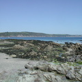 Shingle and rocks