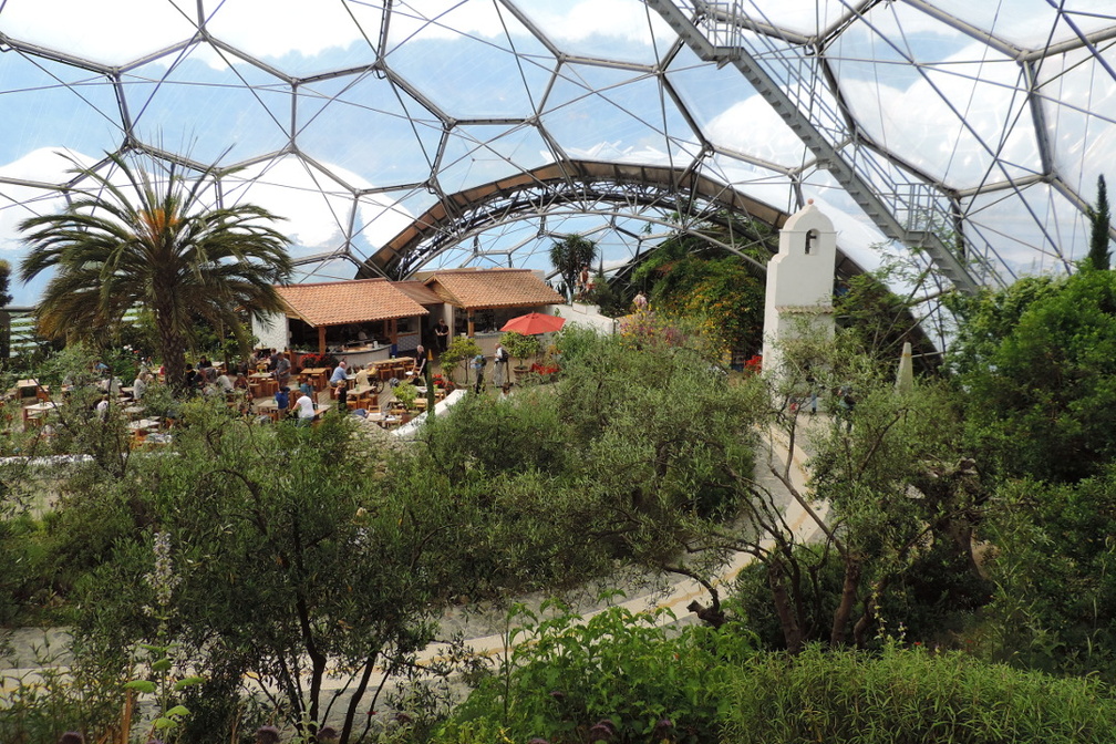 Mediterranean Biome