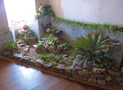 Indoor garden