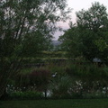Lake with heron