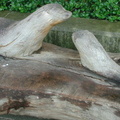 Otter bench