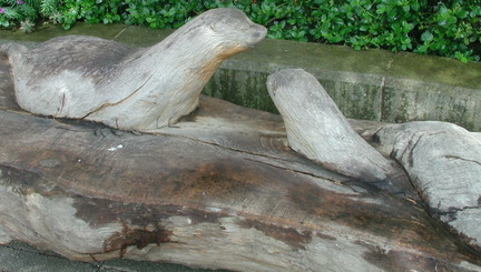 Otter bench