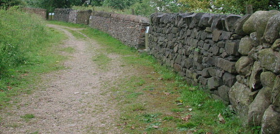 Millennium Wall