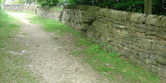 Wall with steps