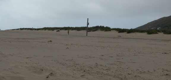 Posts in the dunes