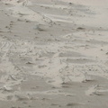 Shades of sand