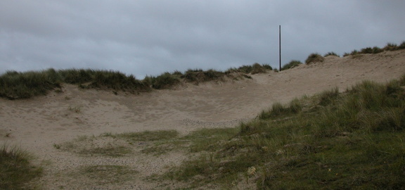 Post in the dunes