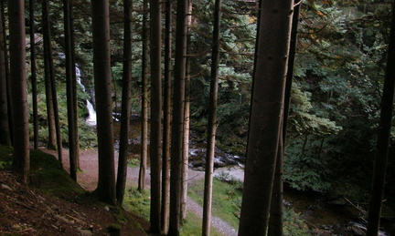 Waterfall through trees