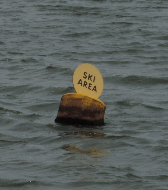 Buoy