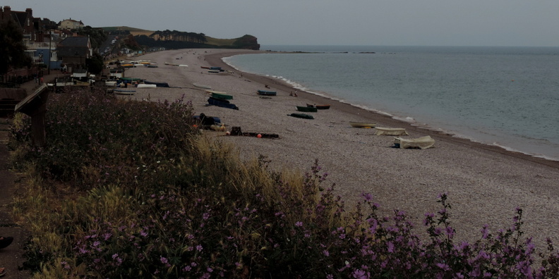 Along the beach