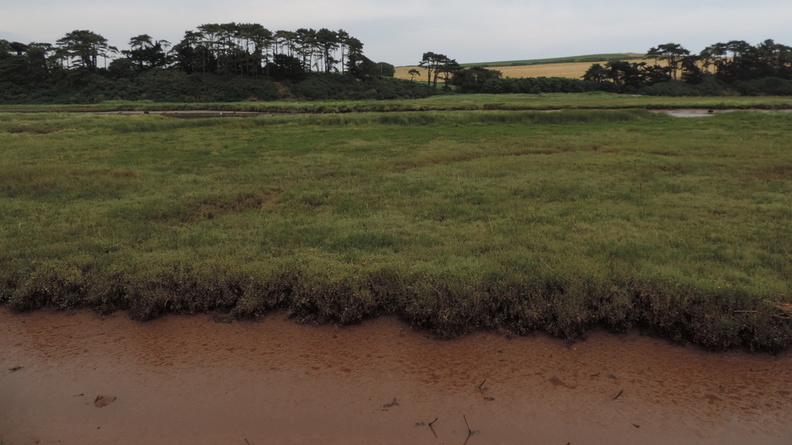 Mud flats