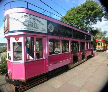 Pink tram