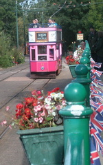 Pink tram in station