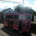 Pink tram