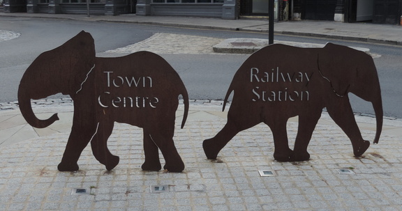 Elephant signs