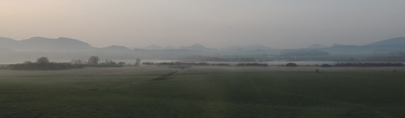 Misty fields