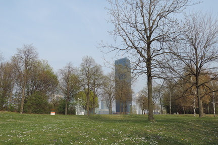 Park with tower in the background