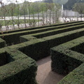 Maze