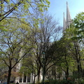 Church through the trees