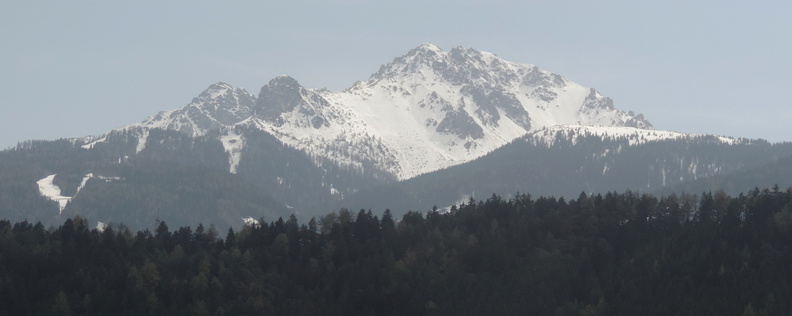 Mountain behind a forest