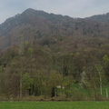 Wooded mountain
