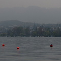 Across the lake