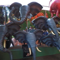 Elephants