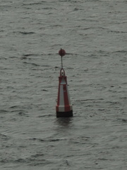 Buoy