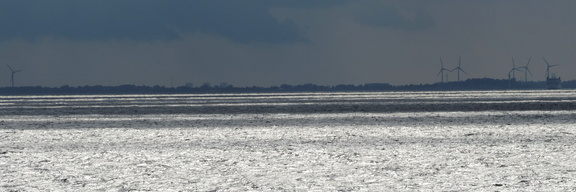 Coastline