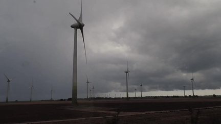 64-WindFarm