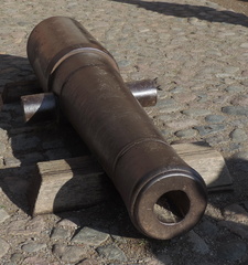 Cannon