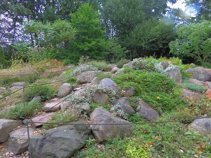 Rockery