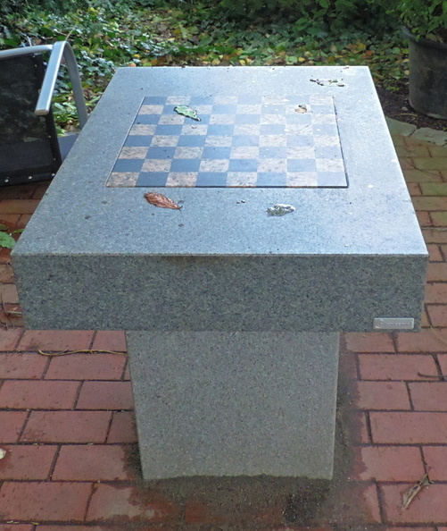20-Chessboard.jpg