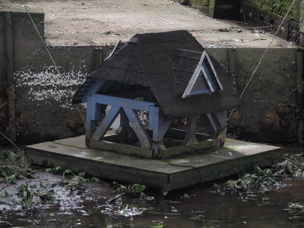 Duck house