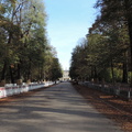 Avenue