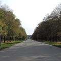 Avenue