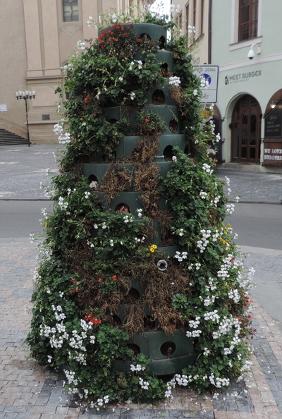 Flower arrangement