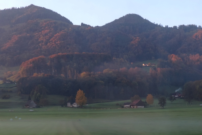 Misty landscape