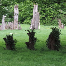 Sculpture park