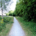 Path along old track
