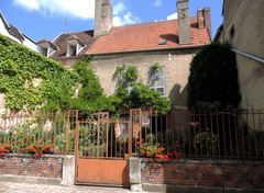 House and garden